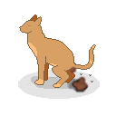 Cat on a Plate